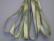 SR4-116 - Olive Grove