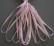 SR4-137B - Rosebud Pink