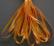 SR7-111 - Bright Orange