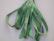 SR13-016 - Holiday Green
