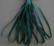 SR13-017 - Deep Blue Sea
