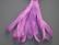 SR13-110 - Orchid