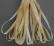 SR13-129 - Baby Corn