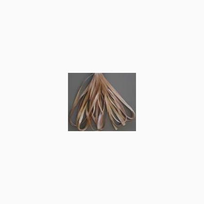 SR13-133 - Pecan