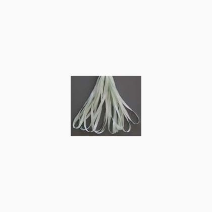SR13-137A - Rosebud Green