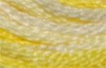 DMC Color Variation 4077