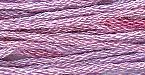 Sampler Threads: Punchberry