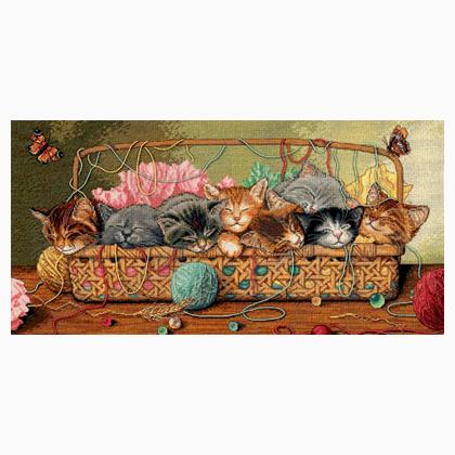 Kitty Litter