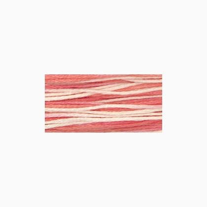 WDW 2248 Cherry Vanilla