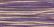 WDW 2301 Lavender
