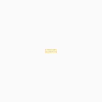Needlepoint Silk - 868