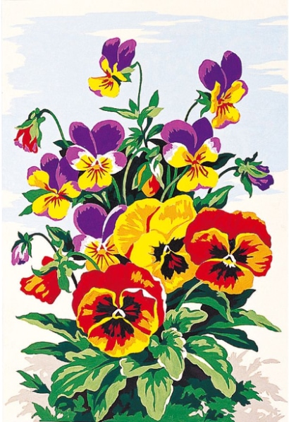 Fleurs: Pansé
