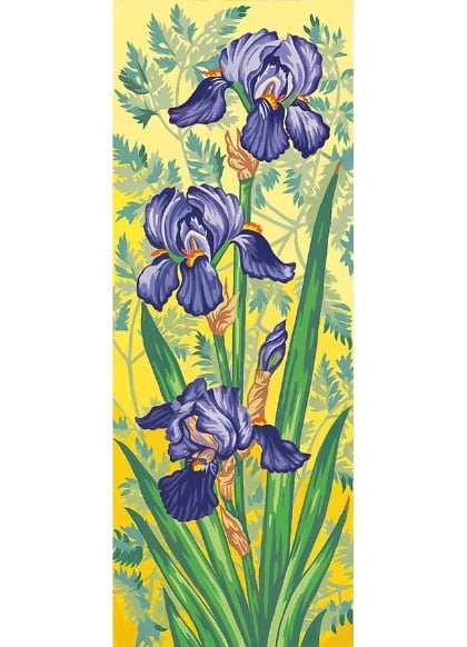 Les iris mauves