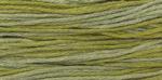 WDW 2196 Scuppernong