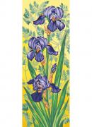 Les iris mauves
