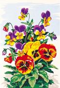 Fleurs: Pansé