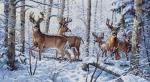 Woodland Winter