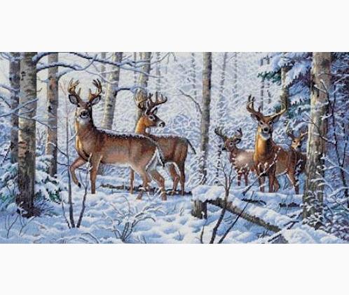 Woodland Winter