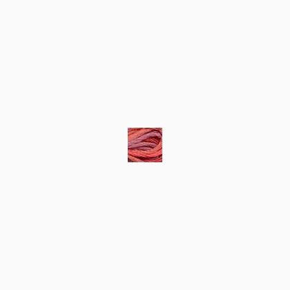 043 - Plantain