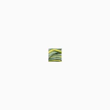 062 - Yellow Spice