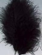 Plumes 12 cm: brun foncé/noir