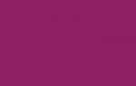 Couleur acrylique opaque - bougainvilla