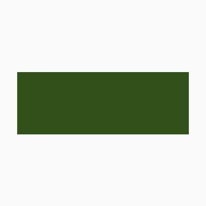 Couleur acrylique opaque - vert olive