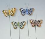 Papillons aux plumes (4) - 5cm.