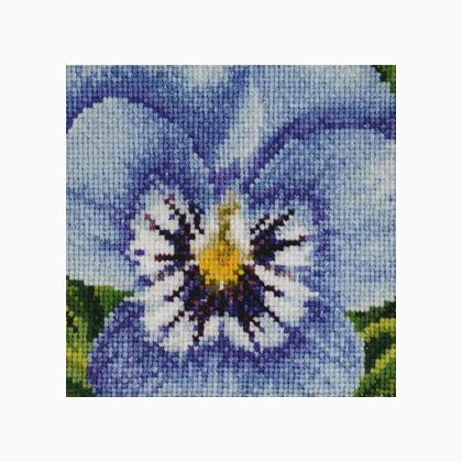 Pansy: Pale Blue and Lilac