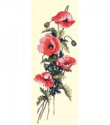 Fleurs des champs II°