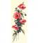 Fleurs des champs II°
