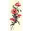 Fleurs des champs II°