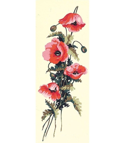 Fleurs des champs II°