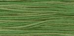 WDW 2171 Emerald