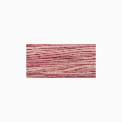 WDW 2279 Sweetheart Rose