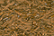 Fuzzy Stuff FZ06 - Dusty Blond