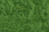 Fuzzy Stuff FZ32 - Leaf Green