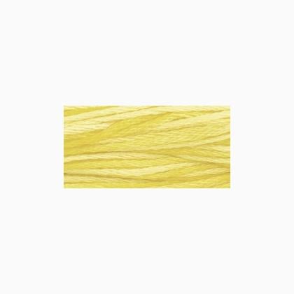 WDW 2218 Sally\'s Sunshine