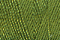 Soie 100/3 - 325