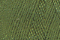 Soie 100/3 - 491