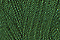 Soie 100/3 - 656
