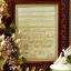 The Catherine Darcy Sampler