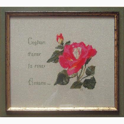 Una Rosa del mio Giardino