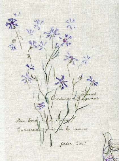Bleuets de Carmaux