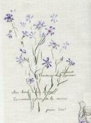 Bleuets de Carmaux