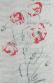 Coquelicots