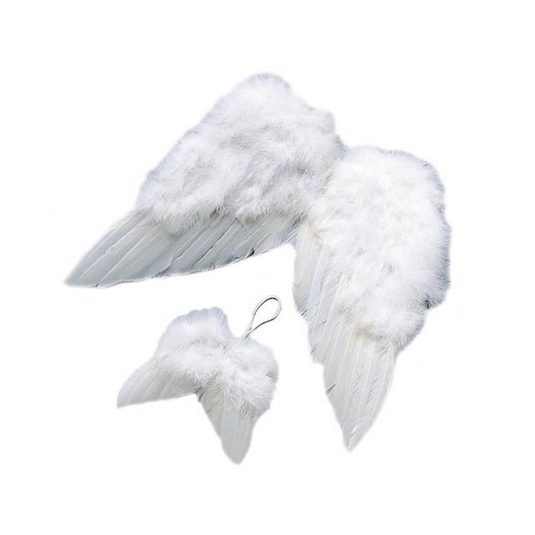 Ailes d\'ange 10cm.
