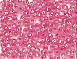 Rocailles - Transp. avec argent 2,6mm. - Rose