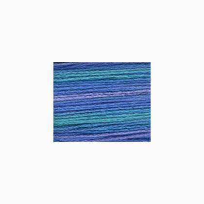 Bravo! A115 - Delphinium