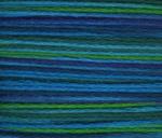 Bravo! A46 - Peacock